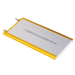 Polymer Battery